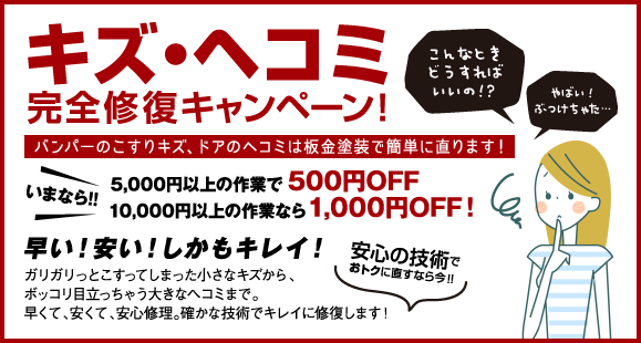 bnr_campaign